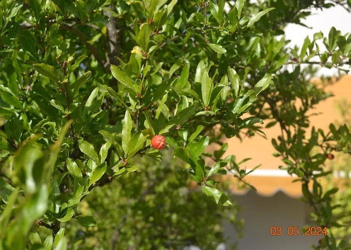 Beautiful Maisonette 네아 모우다니아