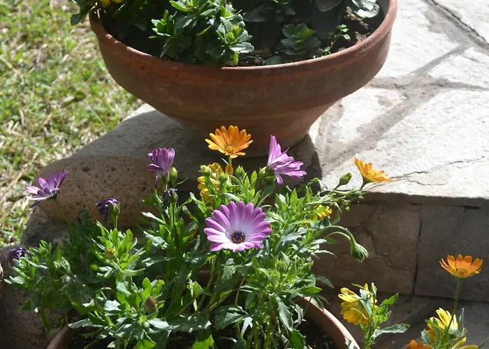 Beautiful Maisonette 빌라 *