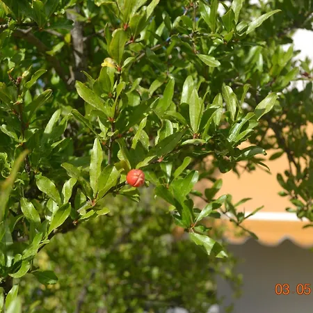 Beautiful Maisonette Nea Moudania