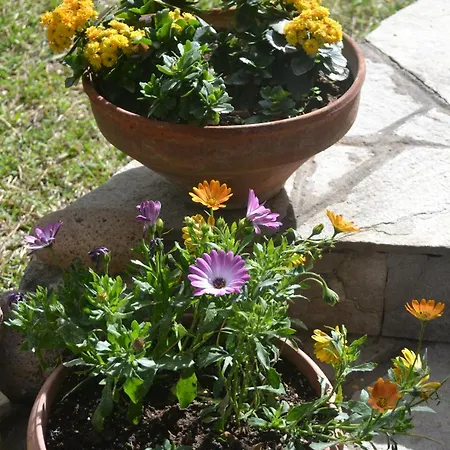 Beautiful Maisonette Vila *